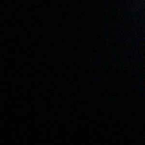 Meet your Posher, Riley